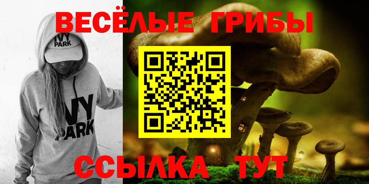 Кулебаки  Псилоцибиновые грибы мицелий  Вход с VPN  Псилоцибиновые грибы Psilocybe 