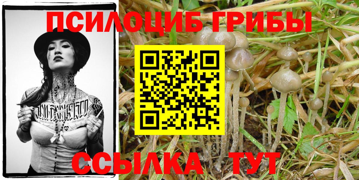 Псилоцибиновые грибы прущие грибы Кулебаки